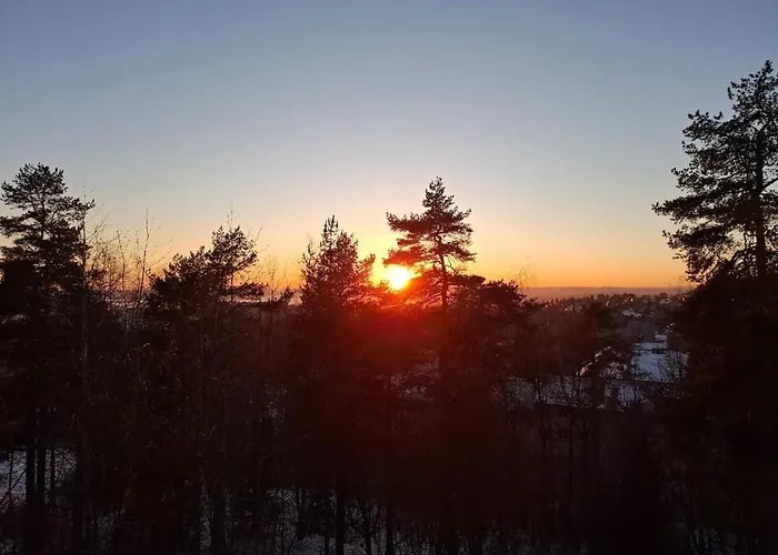 With A View At Tonsenhagen Oslo